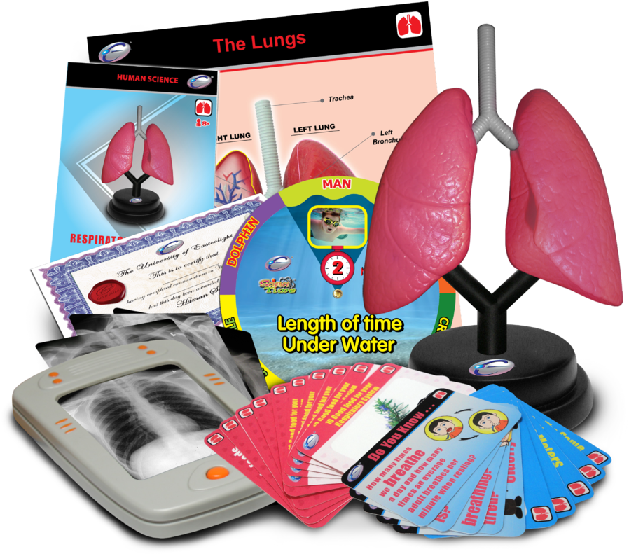 Respiratory Deluxe Set (1000x900), Png Download
