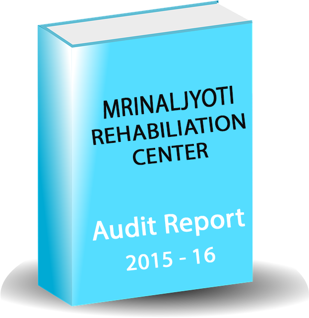 Audit Report (622x720), Png Download