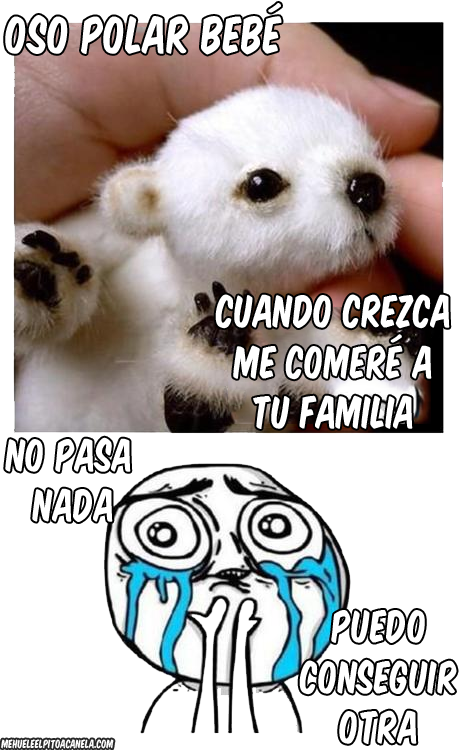 Memes De Osos (459x750), Png Download