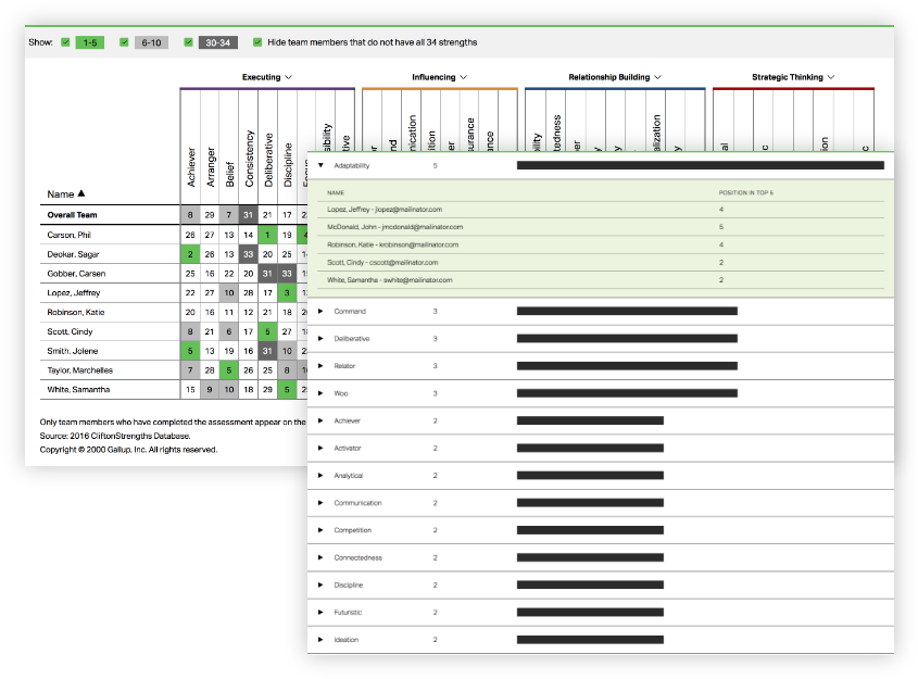 With The Cliftonstrengths Team Grid, Managers Can See (860x640), Png Download