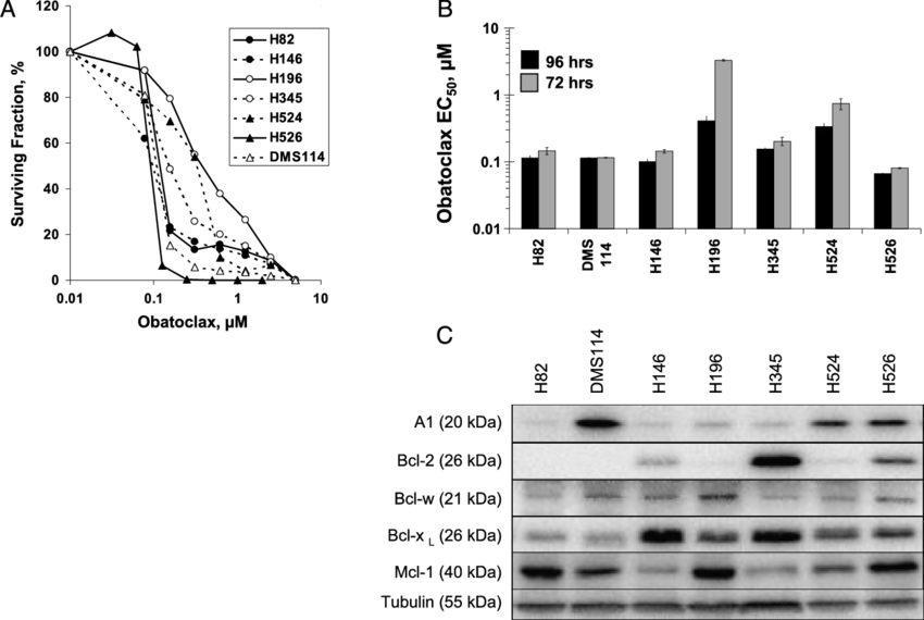 Obatoclax Decreased The Viability Of Sclc Cells With (850x570), Png Download