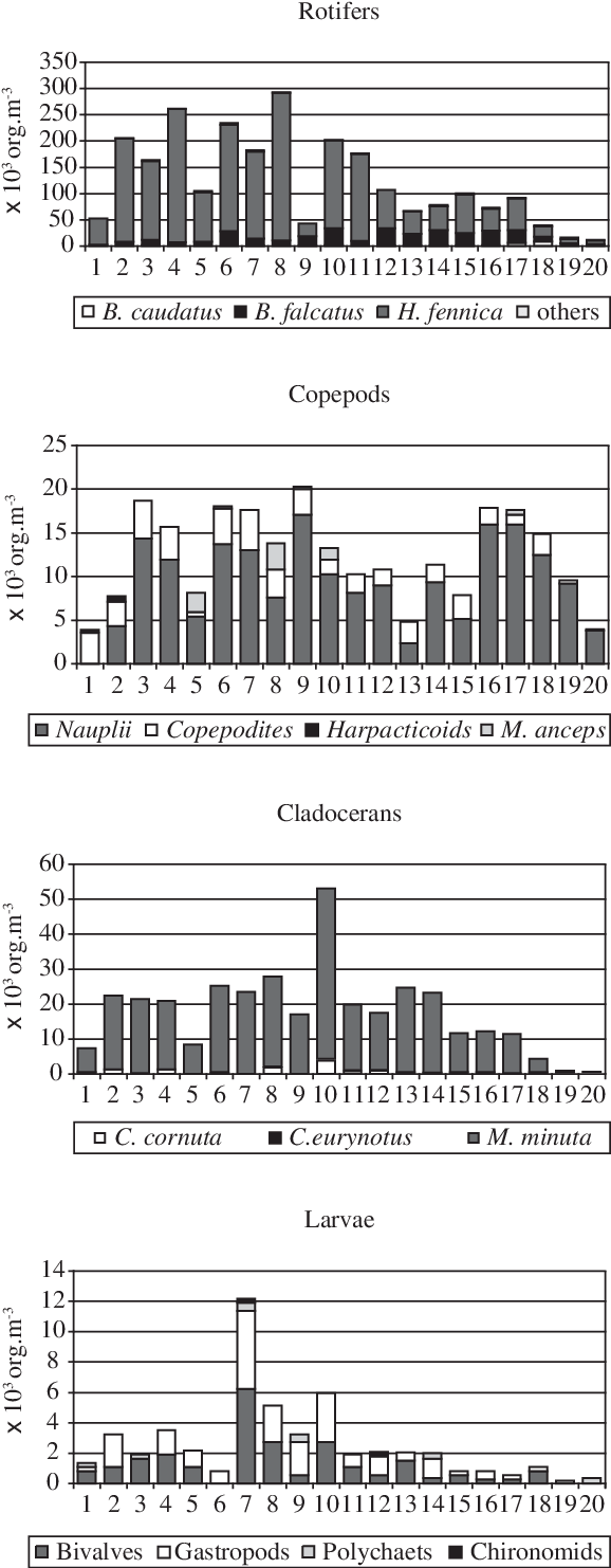 Density Of Main Zooplankton Taxa At The 20 Sampling (608x1490), Png Download