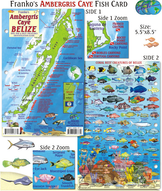Caribbean Map Png (541x636), Png Download