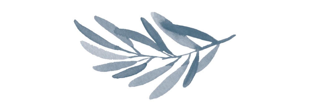 Leaf Long Mid (1000x359), Png Download