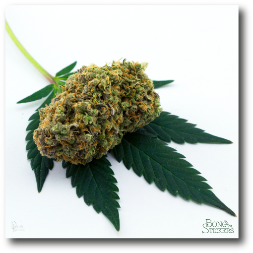 Dank Bud Weed Sticker (600x600), Png Download