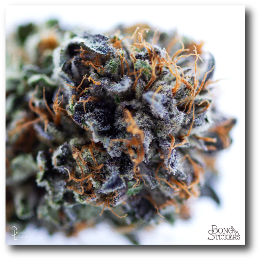 Dank Bud Weed Sticker (600x600), Png Download