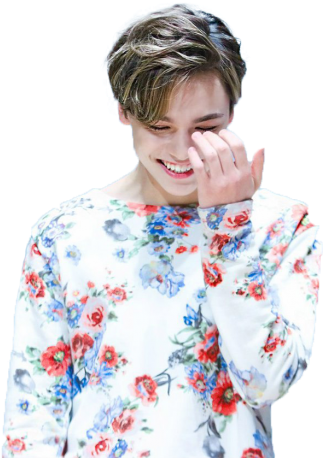 Vernon Seventeen Png (700x466), Png Download