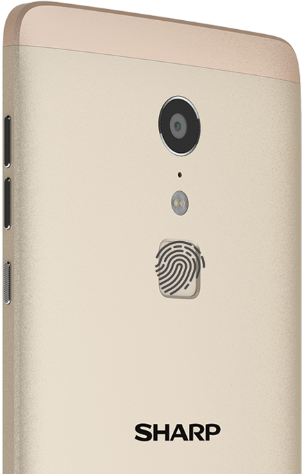 Thumb Print Png (500x745), Png Download