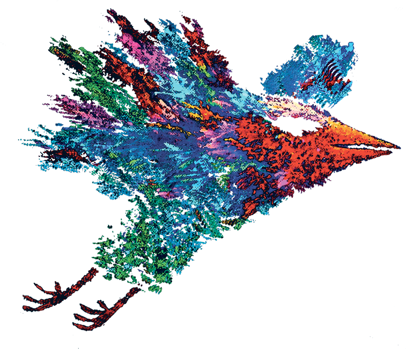 Bluebird Arts (900x900), Png Download