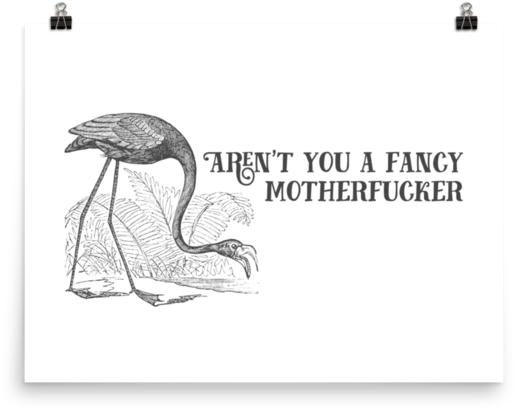 Vulture Png (600x600), Png Download