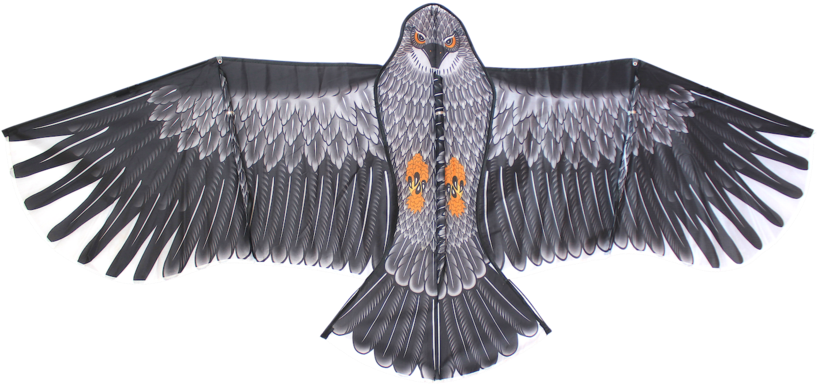 High As A Kite (900x600), Png Download