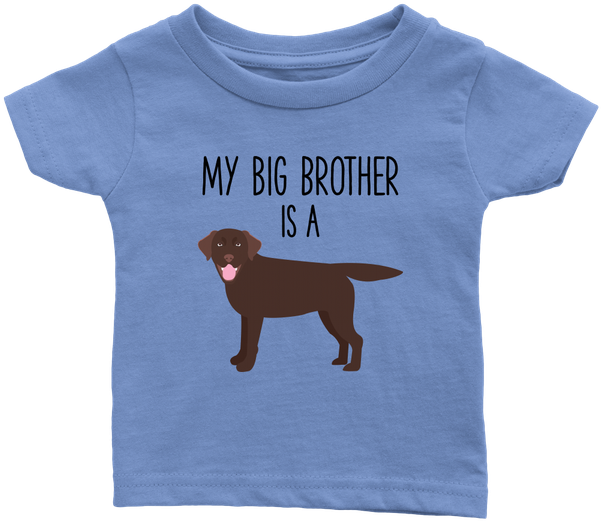 My Big Brother Is A Chocolate Labrador Retriever Baby (600x600), Png Download