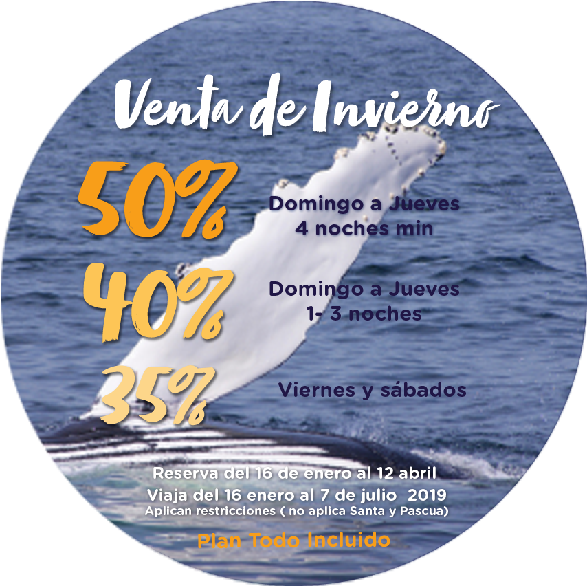 Kayaks On The Beach (883x883), Png Download