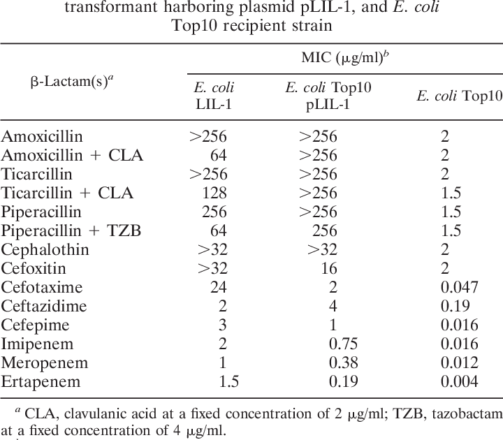 Mics Of Lactams For E (720x630), Png Download