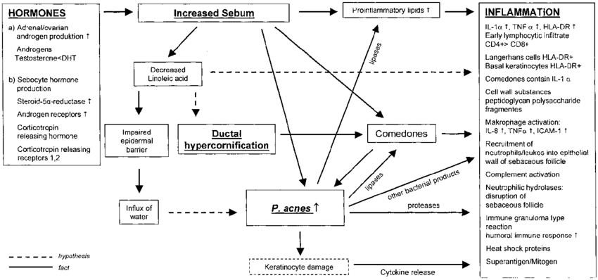 Synopsis Of Factors Involved In The Pathogenesis Of (850x398), Png Download