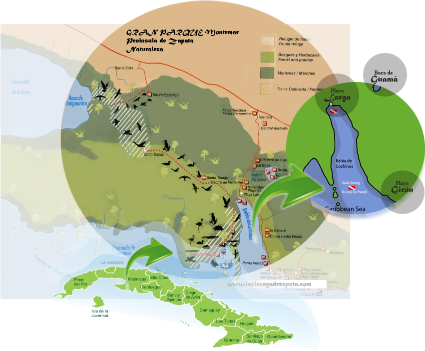 Location (856x709), Png Download