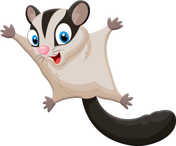 Sugar Glider (600x600), Png Download