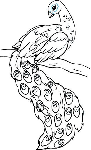 Bird Step By At - Easy Drawing Of Peacock (678x600), Png Download