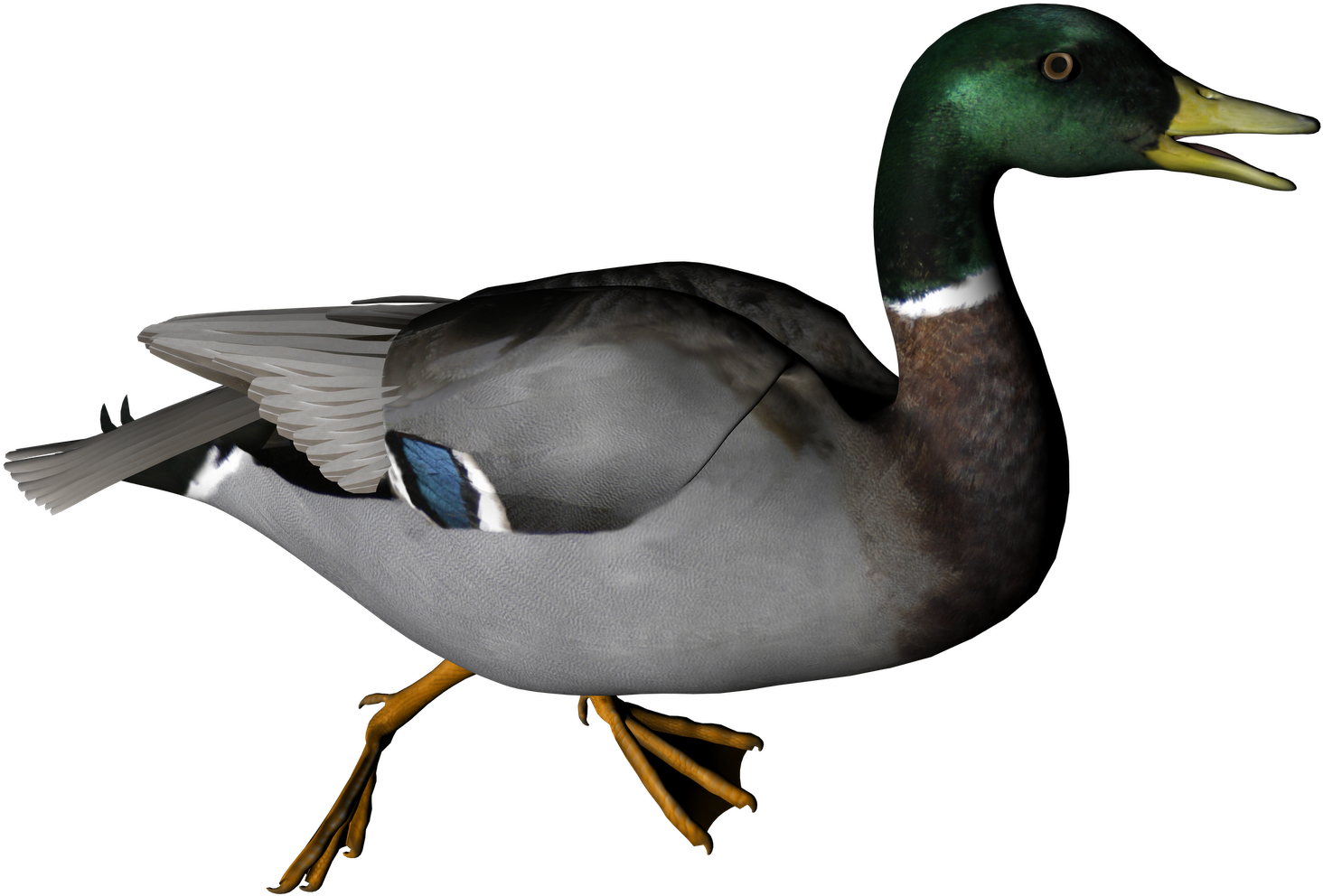 Duck Clipart Transparent Background - Duck Transparent Png (1600x1131), Png Download