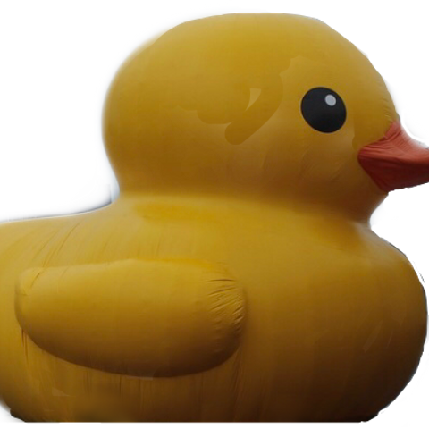 Duck (480x480), Png Download