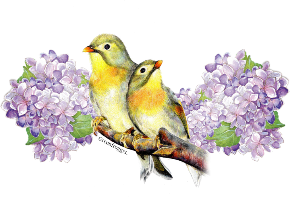 Posted By Greenfroggy1 7/23/18 At - Posterazzi Bw Floral Iii Poster Print By Jennifer Pugh (1012x768), Png Download