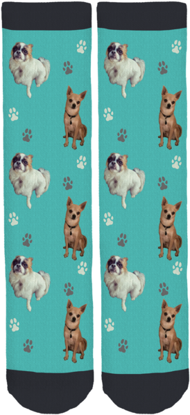 Ringo & Kermit For Cancer Council Crew Socks - Neebs Gaming Socks For Women (285x600), Png Download