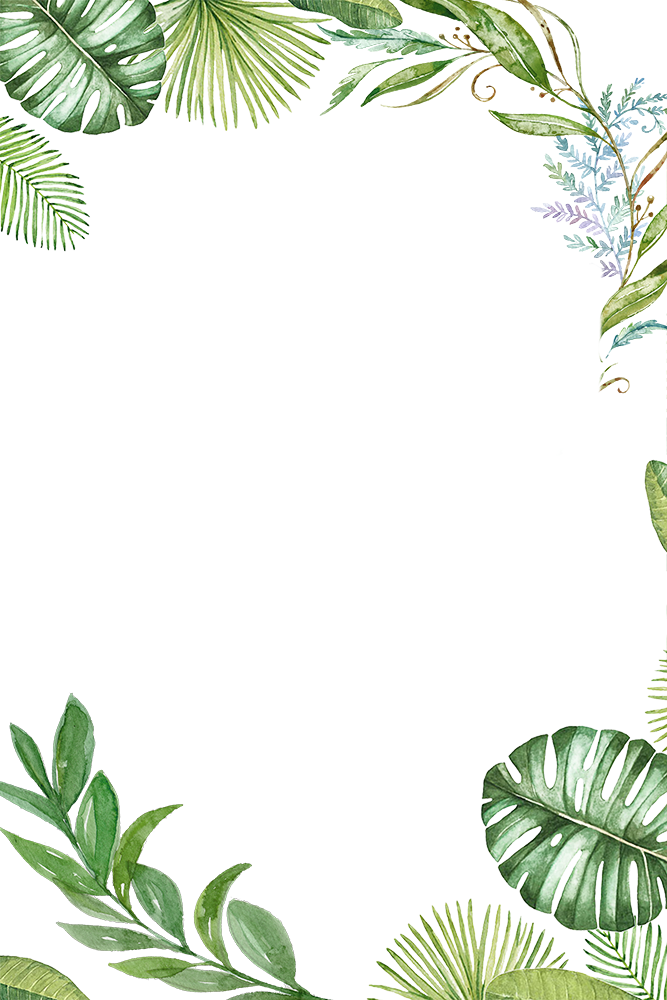 Plants Tropical Jungle Leaves - Tropical Leaves Frame Png (667x1000), Png Download