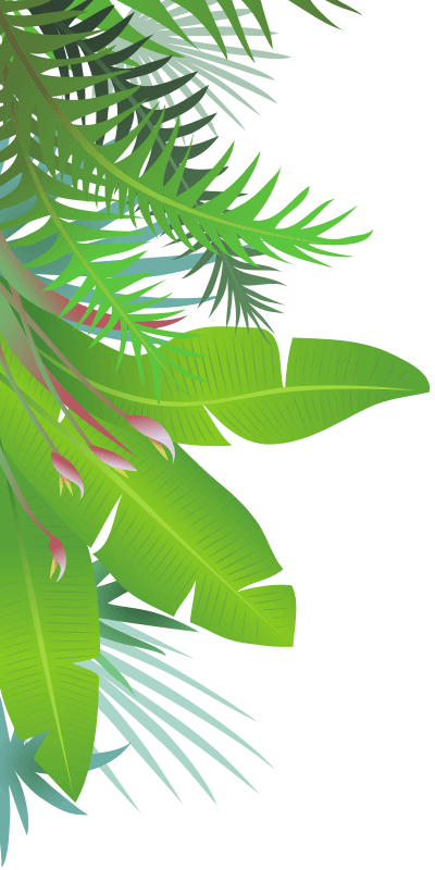 Jungle Leaves Jungle Leaves - Illustration (400x800), Png Download