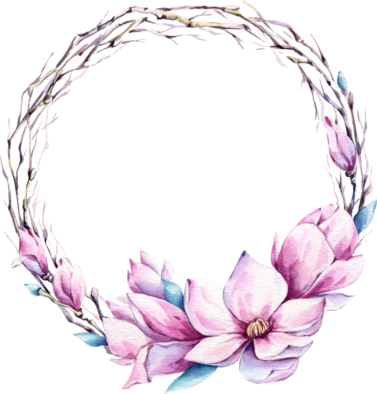 Фото, Автор ✿lili@ ✿ На Яндекс - Flower (766x800), Png Download