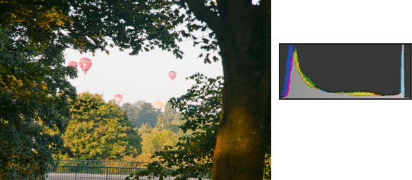 The Above Image Shows The Traditional Compromise The - Portable Network Graphics (600x263), Png Download