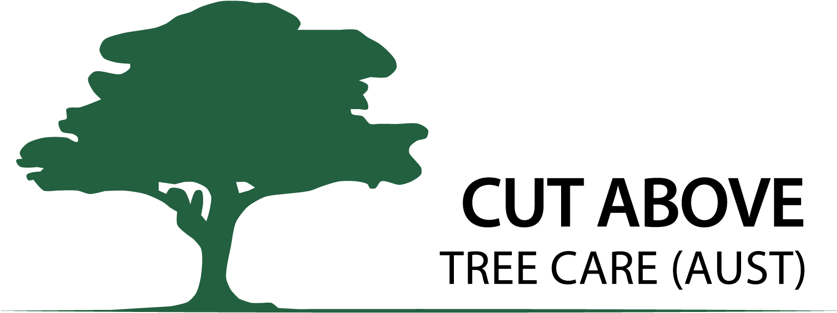 Cut Above Tree Care - Queensland (1814x1361), Png Download