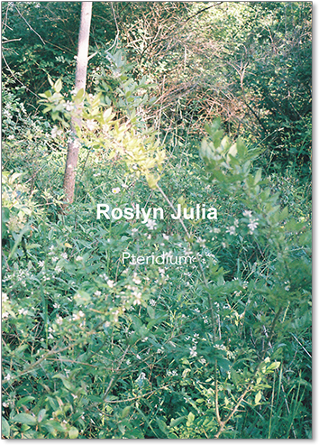 Roslyn Julia - Pteridium - Brown Owl Press (500x500), Png Download
