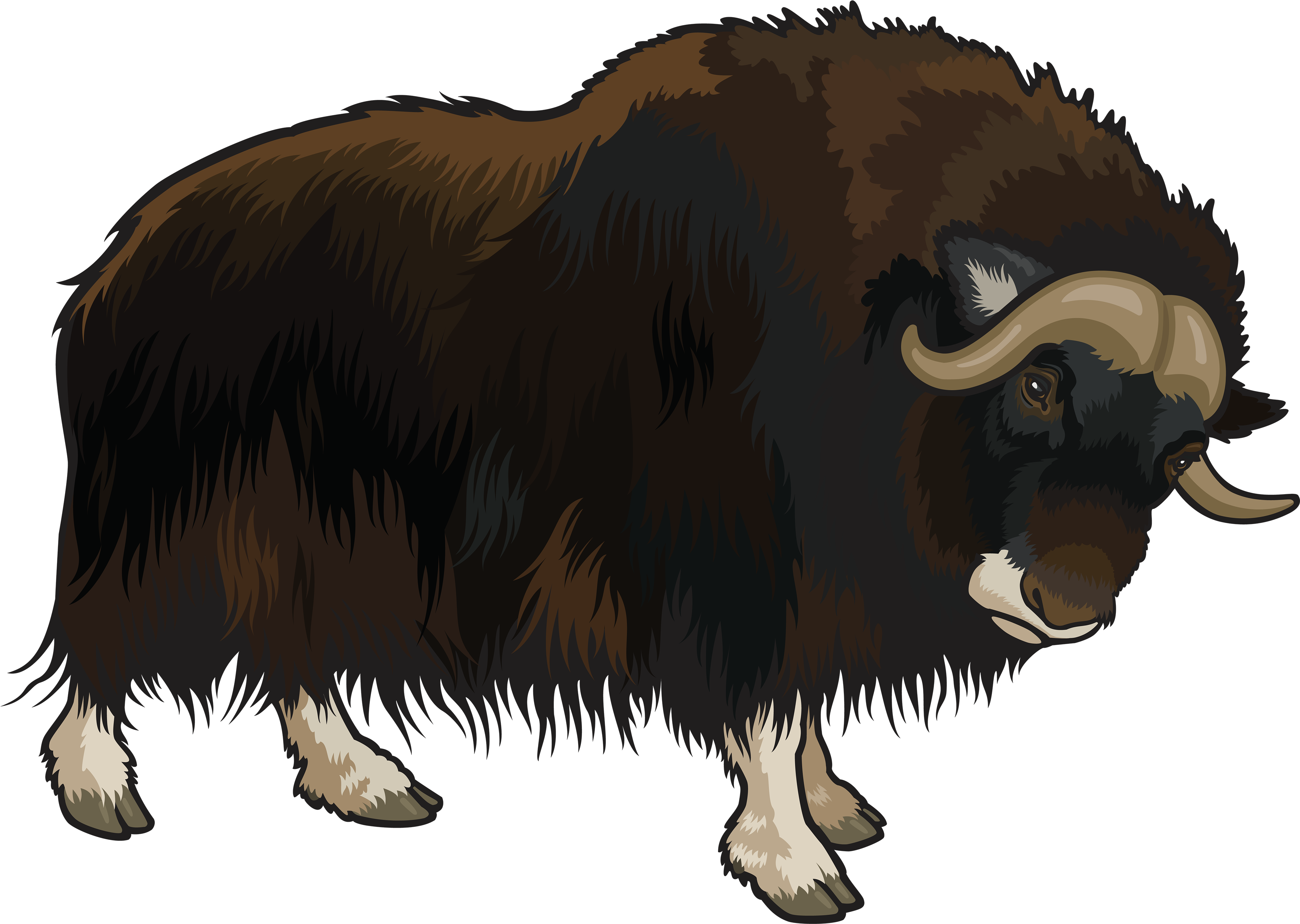 Buffalo Png Clipart - Buffalo Clipart Png (4000x2865), Png Download