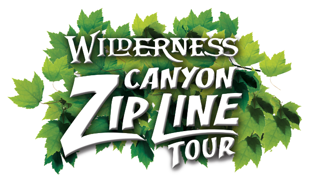 Parsley (753x441), Png Download