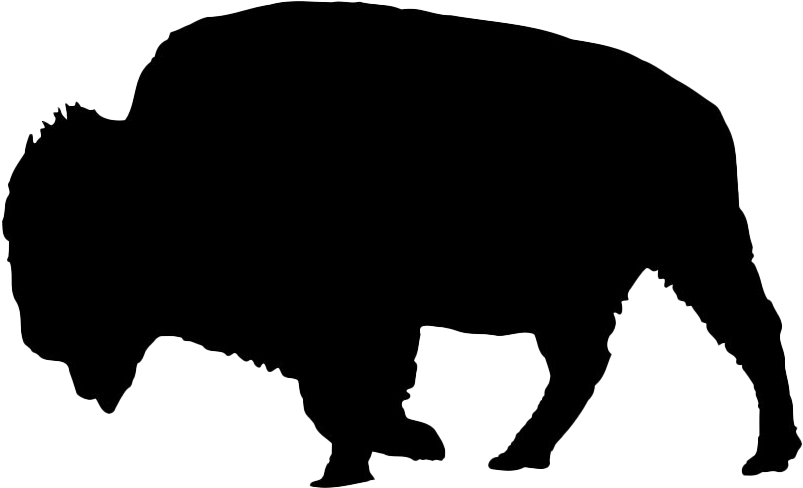 American Bison Oxen Silhouette Water Buffalo African - Bison Silhouette Png (558x340), Png Download