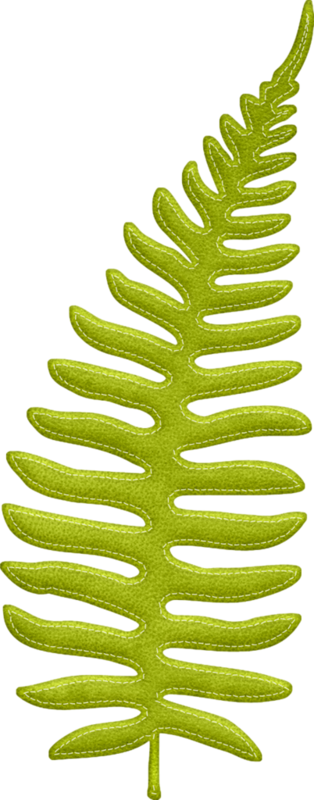 Фото, Автор Ladylony На Яндекс - Desenho Folhas Safari Png (314x800), Png Download