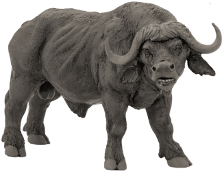 Free Png African Buffalo Png Images Transparent - Papo African Buffalo Figure, Black (480x480), Png Download