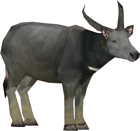 Wild Water Buffalo Png (482x482), Png Download