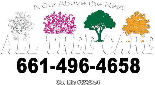 All Tree Care - Alltree Care (541x300), Png Download