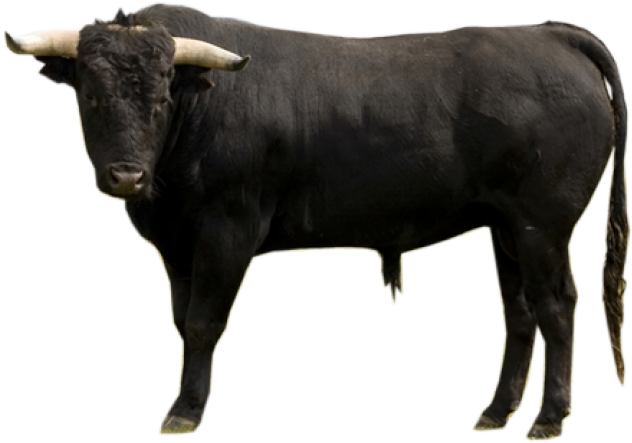 Buffalo Png Transparent Images - Bull On A Court Phone Case - Samsung Galaxy S6 (640x480), Png Download