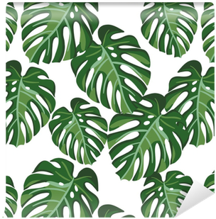 Monstera Palm Leaves On The White Background - Monstera Plant Background (400x400), Png Download