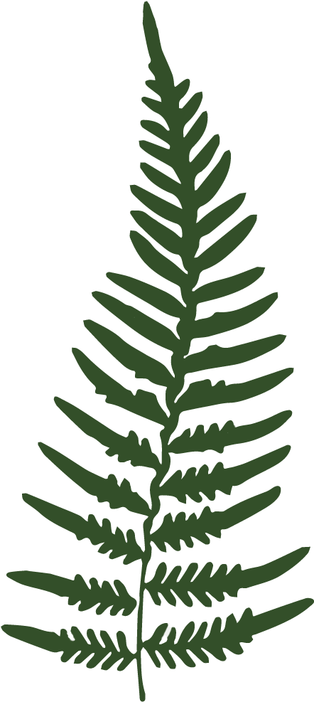 Favicon - Portable Network Graphics (986x986), Png Download