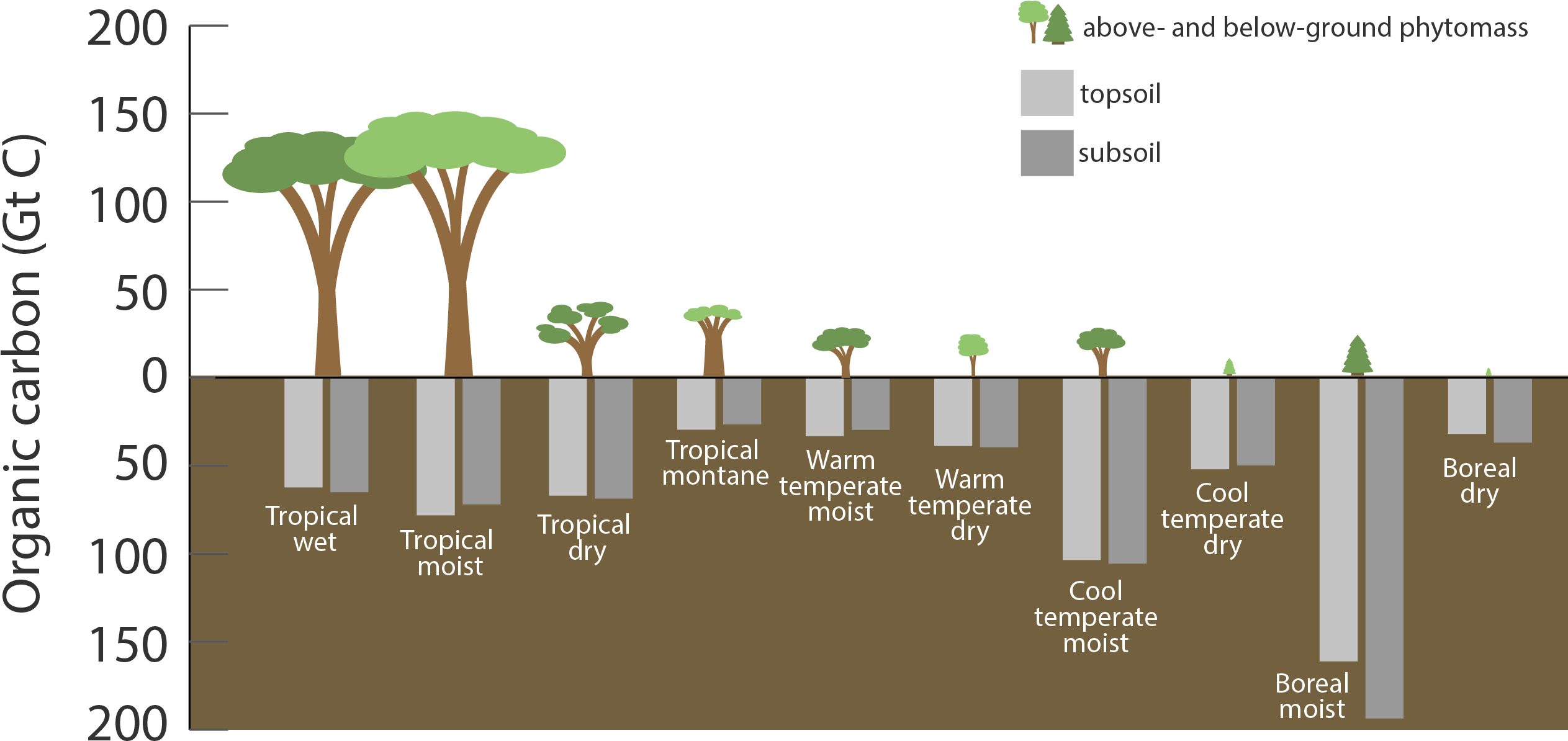 Carbon Stored In Ecosystems Shown In Gigatons Tropical - Temperate Climate (2535x1216), Png Download