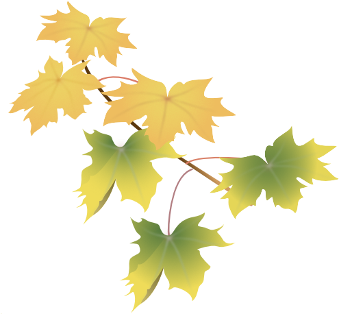 Leaves Green (517x487), Png Download