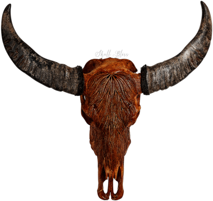 Buffalo Skulls - Buffalo Skull Png (430x430), Png Download