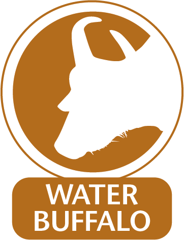 Water Buffalo Monoclonal Antibodies For Use In Water (362x471), Png Download