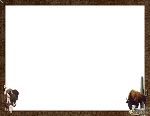 Native-buffalo - Pyrrharctia Isabella (519x400), Png Download