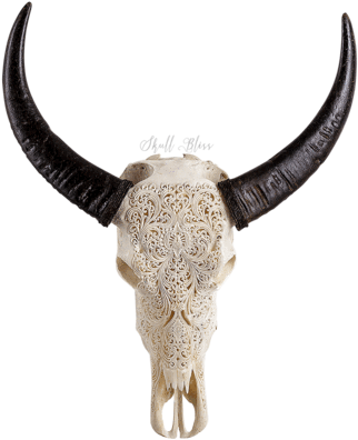 Carved Buffalo Skull - Skull (430x430), Png Download