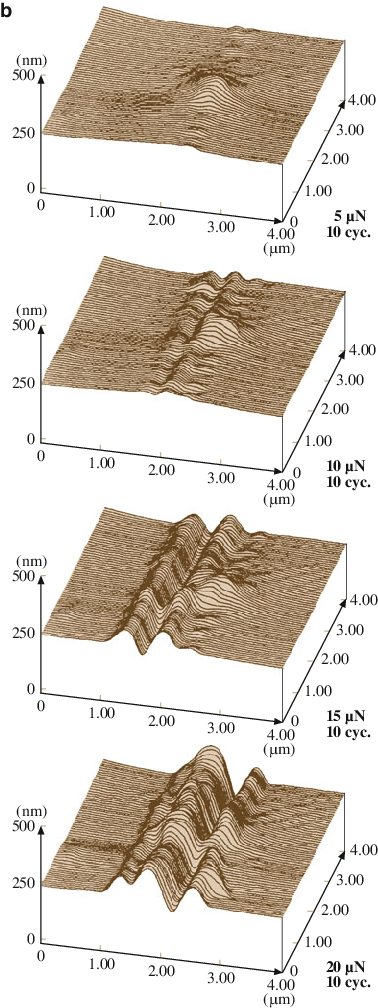 Surface Profiles For Scratched Pet Film Polymer Region, - Floor (378x1008), Png Download