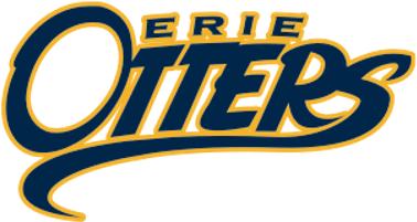 Erie Otters Logo - Erie Otters (400x400), Png Download